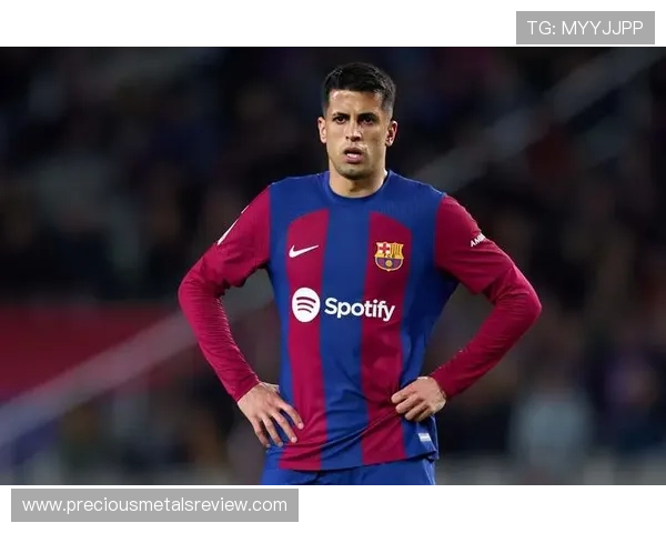 坎塞洛防守表现引争议，近期状态与战术适配性受关注